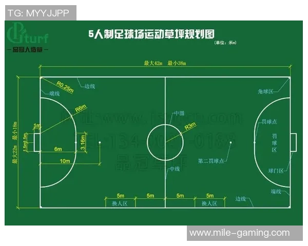 足球场面积大约是标准尺寸的几倍你知道吗